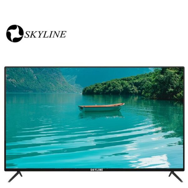 Skyline 43'' FHD TV SKYLINE DVBT2/S2-Régulateur De Tension