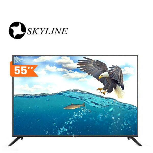 Skyline ANDROID TV 55" Ultra HD 4K - SKT-55SM - Régulateur De Tension